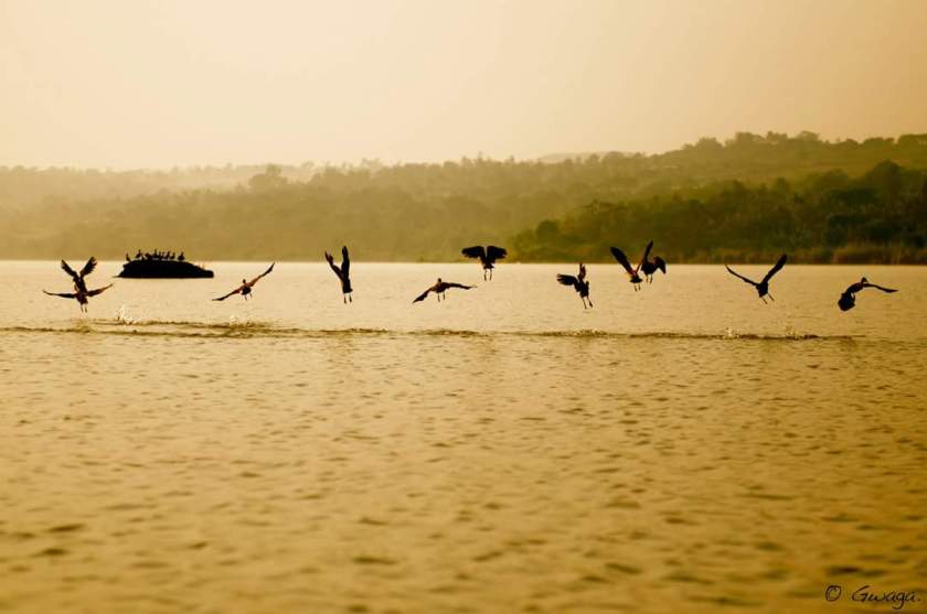 FB_IMG_1467394815352